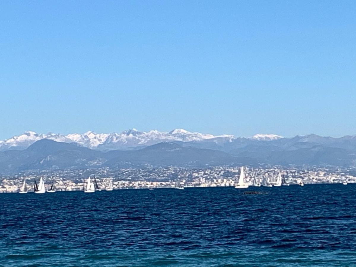 Cap D Antibes, Salis Beach , 2 Bedrooms , Free Parking Dış mekan fotoğraf